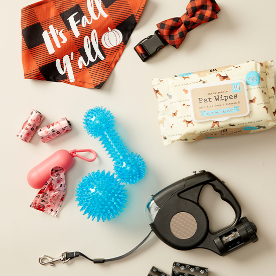 Burlington e-Gift Card